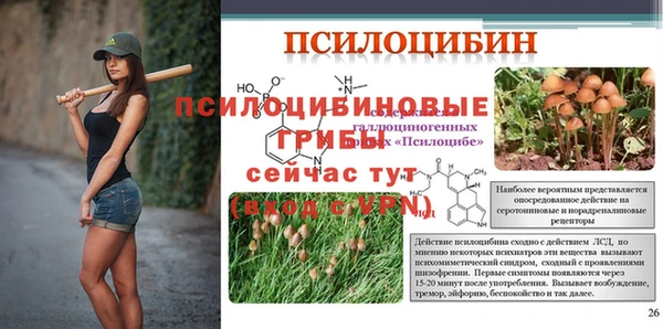 мдпв Россошь