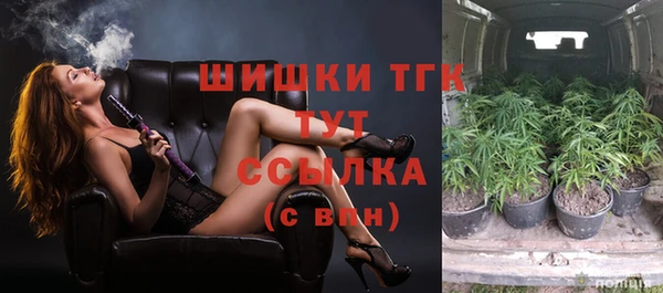 мдпв Россошь