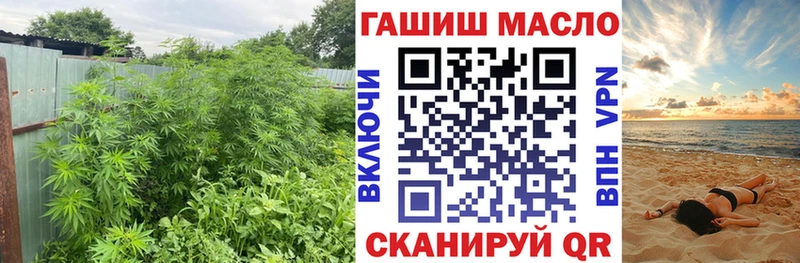 продажа наркотиков  Снежинск  ОМГ ОМГ онион  ТГК THC oil 